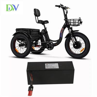 Elektrisk trike lithium batteri